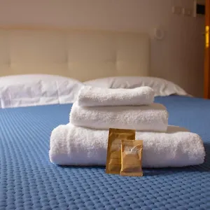 Hotel Oasi San Francesco, Roma